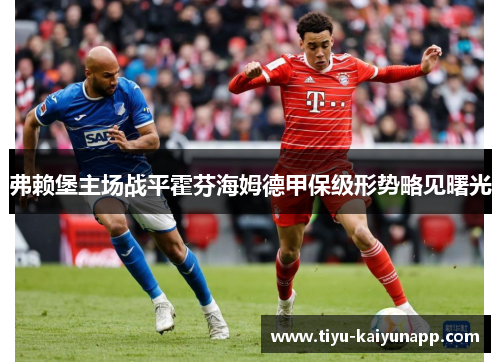弗赖堡主场战平霍芬海姆德甲保级形势略见曙光